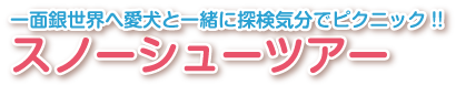 一面銀世界へ愛犬と一緒に探検気分でピクニック！！ スノーシューツアー