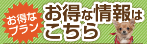 お得なプラン,お得な情報はこちら