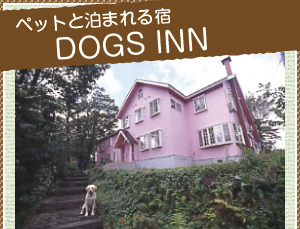 ペットと泊まれる宿,DOGS INN