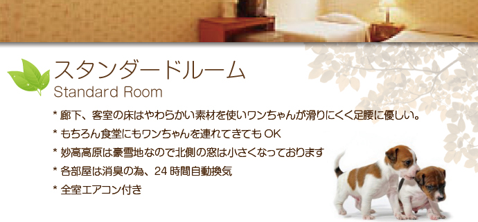 Standard Room,スタンダードルーム