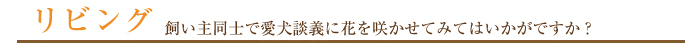 リビング 飼い主同士で愛犬談議に花を咲かせてみてはいかがですか？